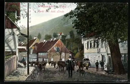 AK Wildemann, Markt mit hist. Linde