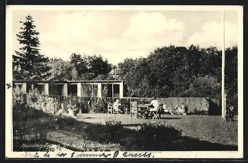 AK Humlebaek, Humlegarden, Dr. Nolfi