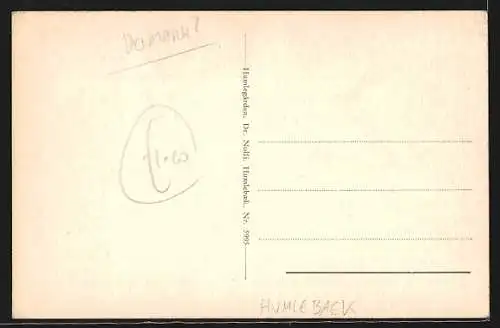 AK Humlebaek, Humlegarden, Dr. Nolfi