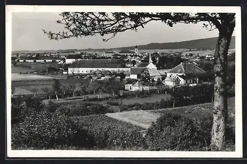 AK Ronov n. Doubr., Celkový pohled
