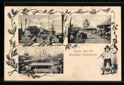 AK Dresden, Dresdener Vogelwiese in drei Ansichten