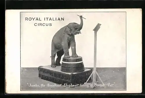 AK Royal Italien Circus, Jumo, the smallest Elephant living & Society Pet