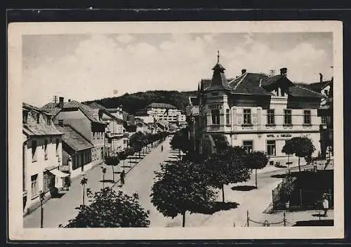 AK Bad Luhatschowitz, Strassenansicht mit Hotel u Havlicka