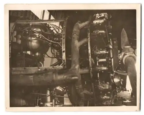 Fotografie Flugzeug-Motor, Sternmotor, Detail-Ansicht