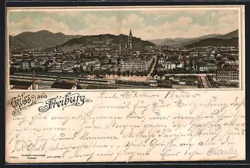 Lithographie Freiburg i. B., Ortspanorama
