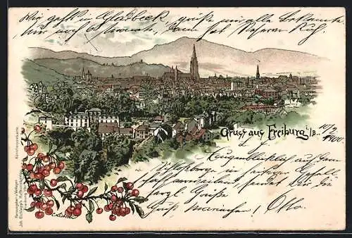 Lithographie Freiburg i. B., Totalansicht