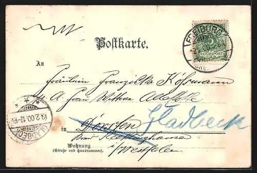 Lithographie Freiburg i. B., Totalansicht