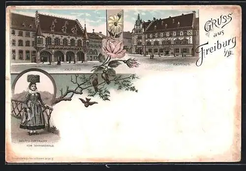 Lithographie Freiburg i. B., Kaufhaus, Rathaus, Braut in schwarzwälder Festtracht