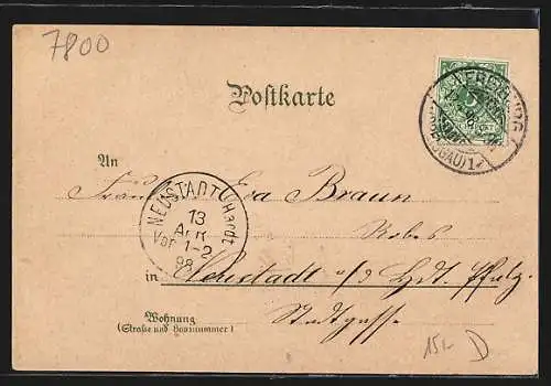 Lithographie Freiburg i. B., Markgräflerin, Hildathurm, Totalansicht