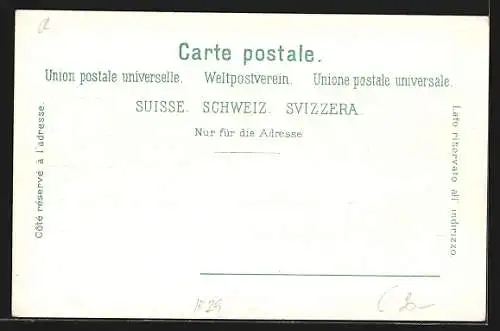 Lithographie Zürich, Ortspartie mit Dampfer