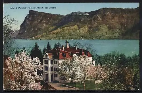 AK Luzern, Hotel & Pension Kastanienbaum