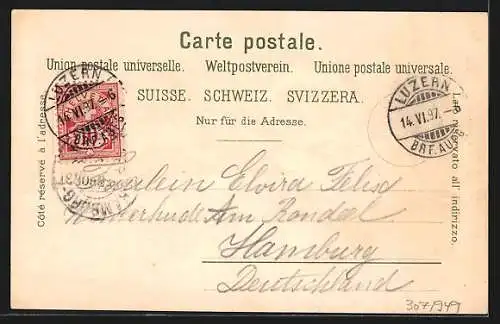 Lithographie Luzern, Totalansicht, Gütsch