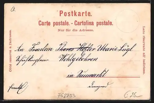 Lithographie Zürich, Ortspartie mit Limmat, Theater, Dampfschwalbe