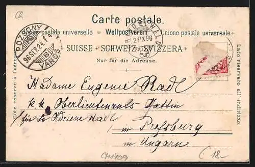 Lithographie Bern, Totalansicht