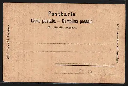 Lithographie Luzern, Wasserturm und Luzerner Löwe