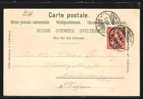 Lithographie Zürich, Ortspanorama