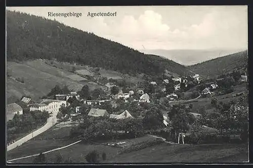 AK Agnetendorf /Riesengebirge, Ortsansicht aus der Vogelschau