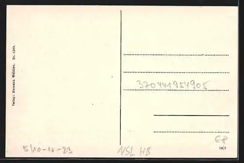 AK Agnetendorf /Riesengebirge, Ortsansicht aus der Vogelschau