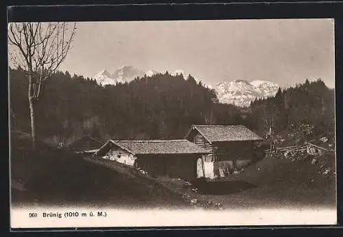 AK Brünig, Hütten und Alpen