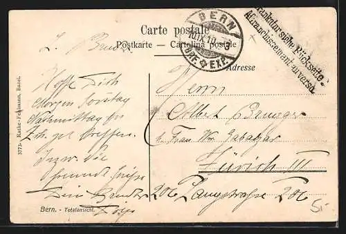 AK Bern, Totalansicht mit Blumen umrahmt