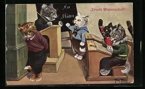 Künstler-AK A. Thiele: Katzenschule, Ernste Wissenschaft, An der Tafel Miau