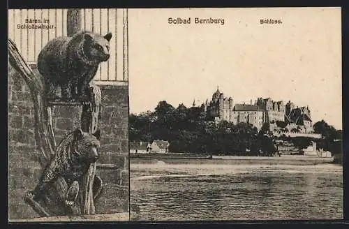 AK Bernburg, Bären im Schlosszwinger
