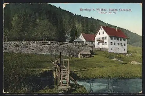 AK Enzhof b. Wildbad, Holzbrücke an der Station Calmbach