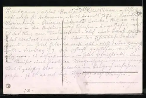 AK Bodensee-Dampfer Rhein in Fahrt