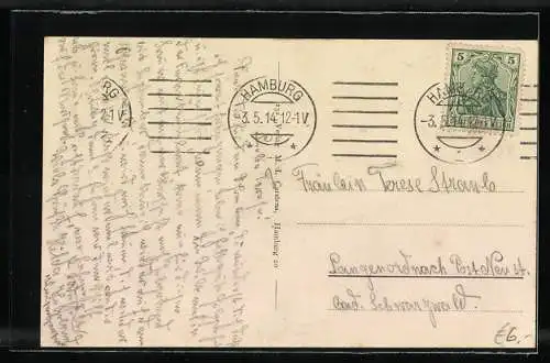 AK Turbinen-Schnelldampfer Vaterland, Passagierdampfer auf hoher See