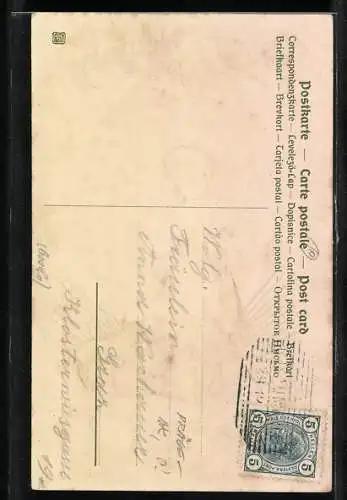 Präge-AK Junges Mädchen füttert zu Neujahr die Glücksschweine