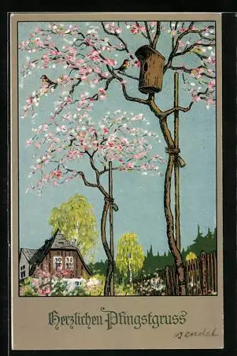 AK Herzlichen Pfingstgruss, Baumblüte mit Vogelhaus im Garten