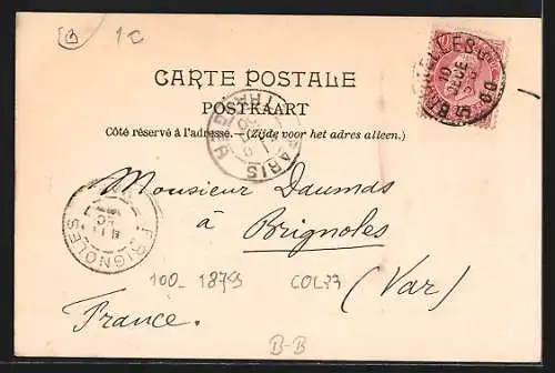 AK Brüssel / Bruxelles, Palais Royal