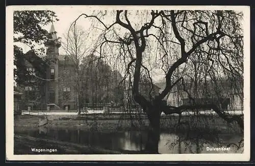 AK Wageningen, Duivendaal