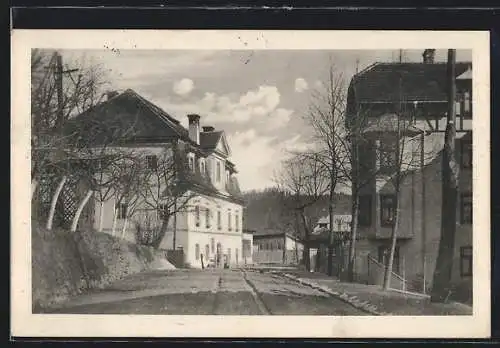 AK Dürnstein in der Steiermark, Wildbad Einöd, Strassenansicht mit angrenzenden Häusern