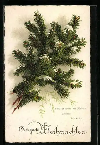 Künstler-AK Verschneiter Tannenzweig mit Weihnachtsgrüssen