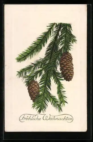 AK Grüner Tannenzweig mit Zapfen zu Weihnachten