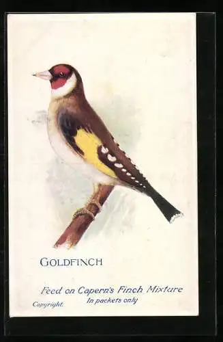 AK Reklame für Capern`s Bird Foods &c, Goldfinch
