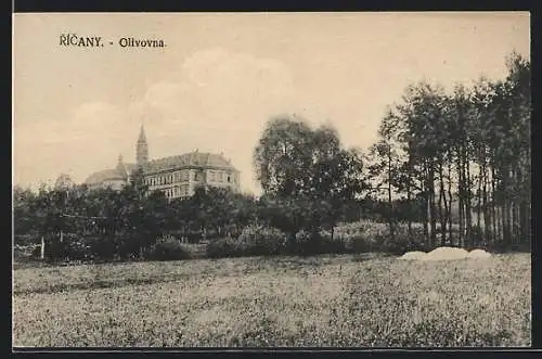 AK Ricany, Olivovna