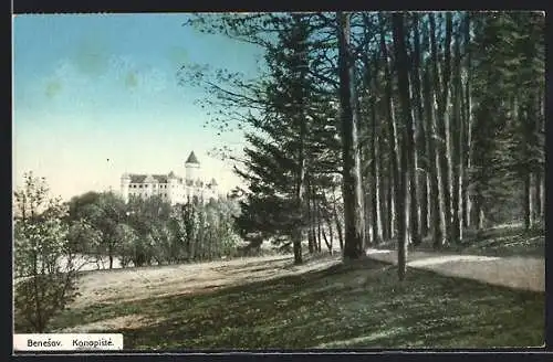 AK Benesov, Konopiste