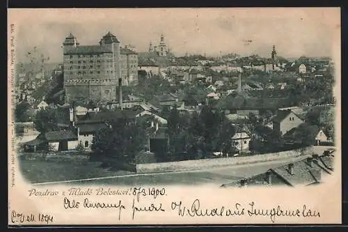 AK Mlada Boleslav, Panorama