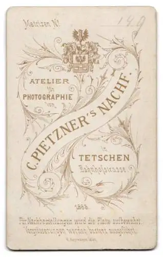 Fotografie C. Pietzner`s Nachfolger, Tetschen, Bahnhofstrasse, Dame mit geflochtenem Dutt im Profil