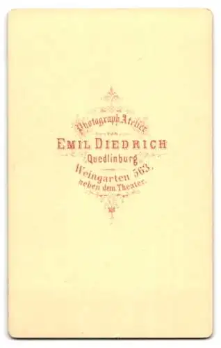 Fotografie Emil Diedrich, Quedlinburg, Weingarten 563, Junge Dame mit Kragenbrosche und Kreuzkette