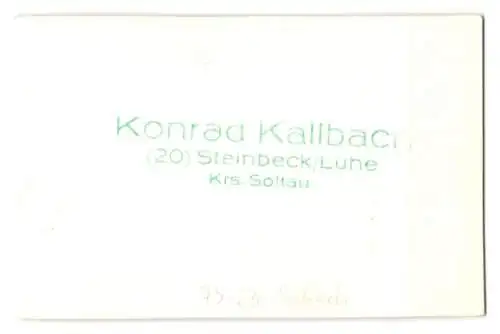 Fotografie Konrad Kallbach, Steinbeck / Luhe, Schach / Chess, kunstvoll gestaltete Schachfiguren