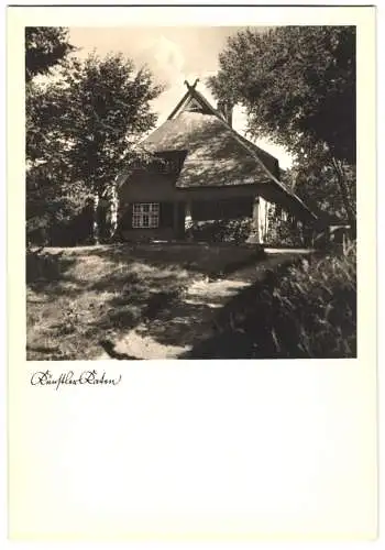 8 Fotografien Fritz Wegscheider, Ahrenshoop, Ansicht Ahrenshoop, Windflüchter, Hohes Ufer, Dornenhaus, Brandung u.a.