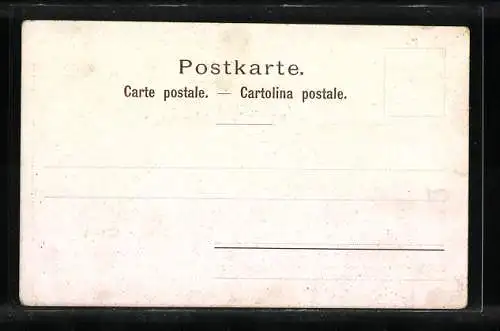 AK Drei Bären als Soldaten am Gasthof zum Sternen, vermenschlichte Tiere