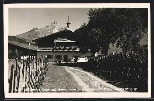 AK Filzmoos /Salzburg, Bauernhaus mit Bischofsmütze