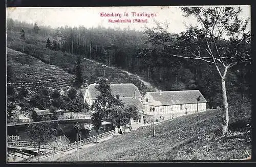 AK Eisenberg / Thür., Naupoldsmühle im Mühltal