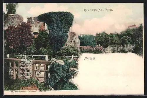 AK Meissen / Elbe, Ruine zum Heil. Kreuz