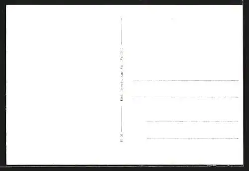 AK Aue-Auerhammer / Sachsen, Teilansicht mit Fabriken