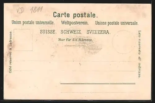 Lithographie Vevey, Teilansicht, Weinglas- und Trauben, Passepartout